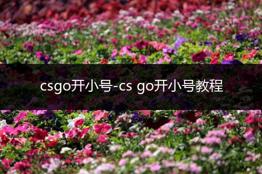 csgo开小号-cs go开小号教程