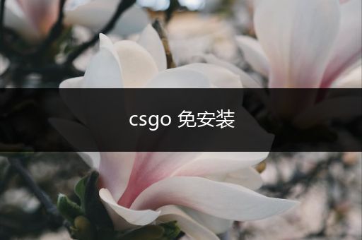 csgo 免安装