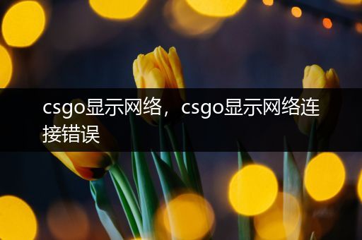 csgo显示网络，csgo显示网络连接错误