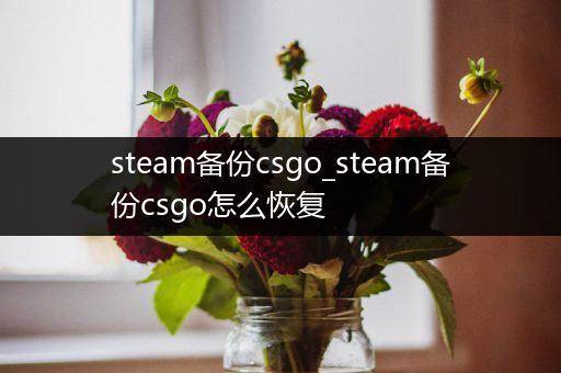 steam备份csgo_steam备份csgo怎么恢复