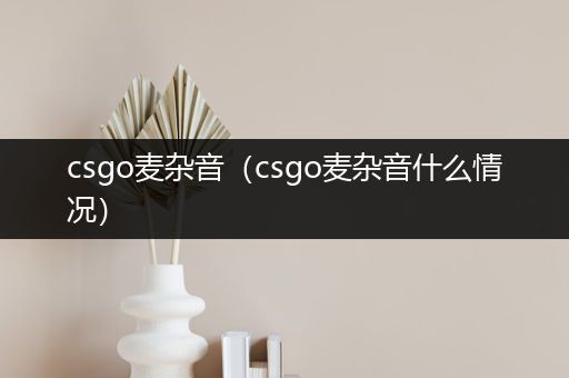 csgo麦杂音（csgo麦杂音什么情况）