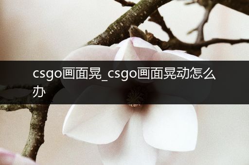 csgo画面晃_csgo画面晃动怎么办