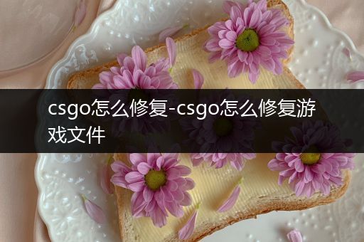 csgo怎么修复-csgo怎么修复游戏文件