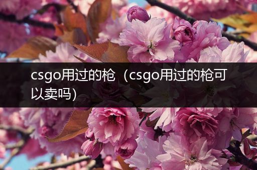 csgo用过的枪（csgo用过的枪可以卖吗）