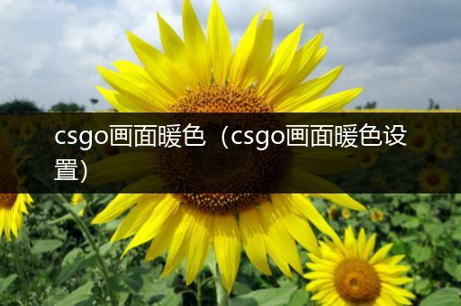 csgo画面暖色（csgo画面暖色设置）