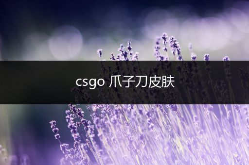 csgo 爪子刀皮肤