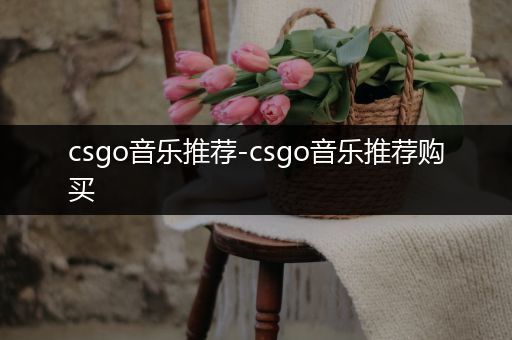 csgo音乐推荐-csgo音乐推荐购买