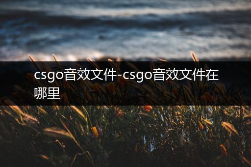 csgo音效文件-csgo音效文件在哪里