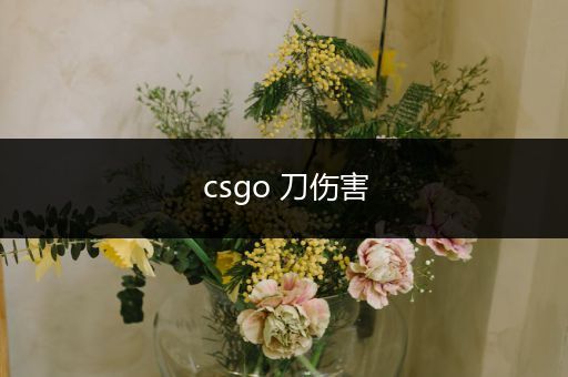 csgo 刀伤害