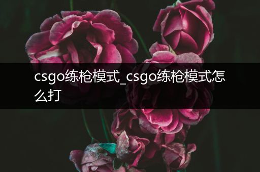 csgo练枪模式_csgo练枪模式怎么打