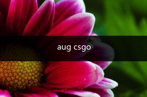 aug csgo