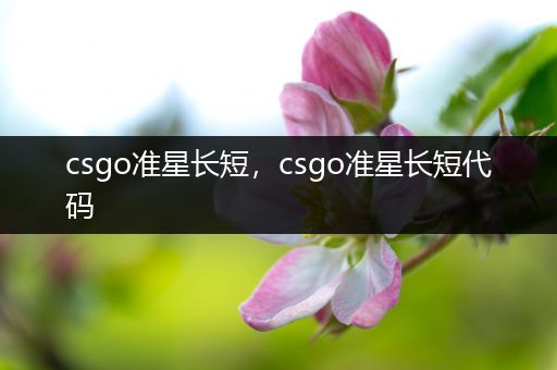 csgo准星长短，csgo准星长短代码