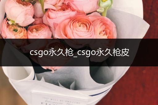 csgo永久枪_csgo永久枪皮