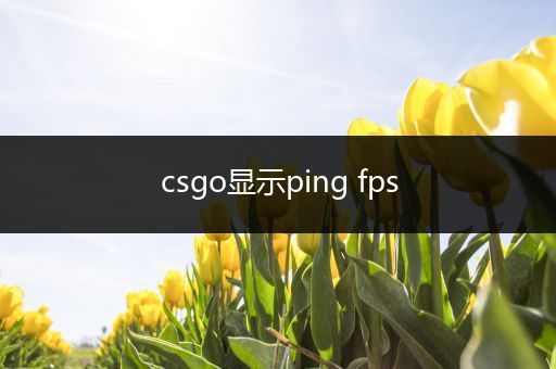 csgo显示ping fps