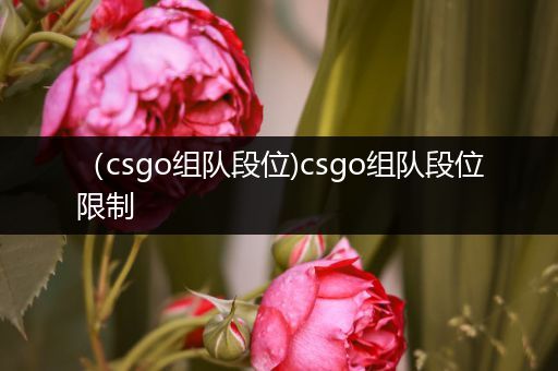 （csgo组队段位)csgo组队段位限制