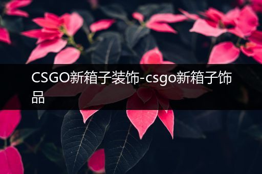 CSGO新箱子装饰-csgo新箱子饰品