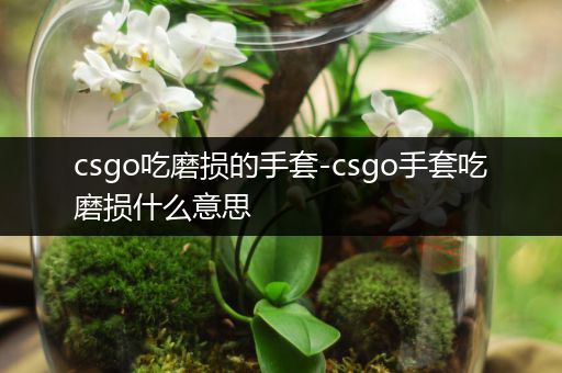 csgo吃磨损的手套-csgo手套吃磨损什么意思