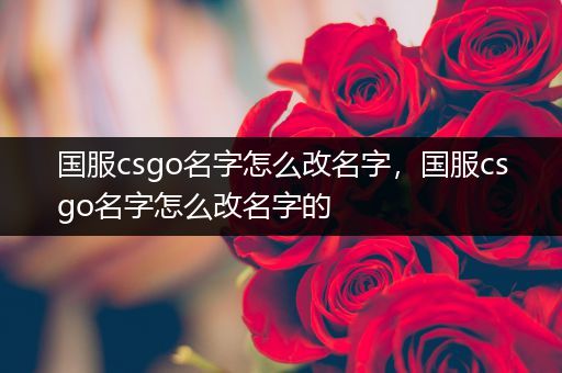 国服csgo名字怎么改名字，国服csgo名字怎么改名字的