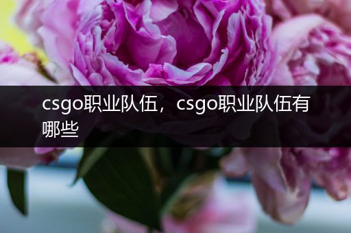 csgo职业队伍，csgo职业队伍有哪些