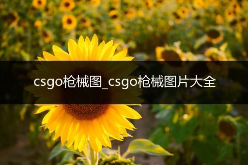 csgo枪械图_csgo枪械图片大全