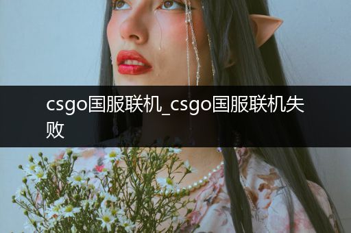 csgo国服联机_csgo国服联机失败