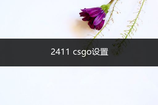 2411 csgo设置