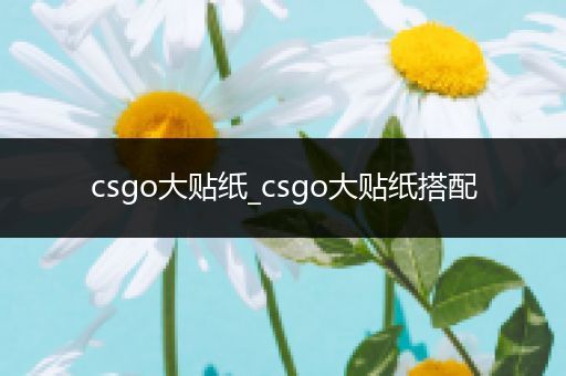 csgo大贴纸_csgo大贴纸搭配