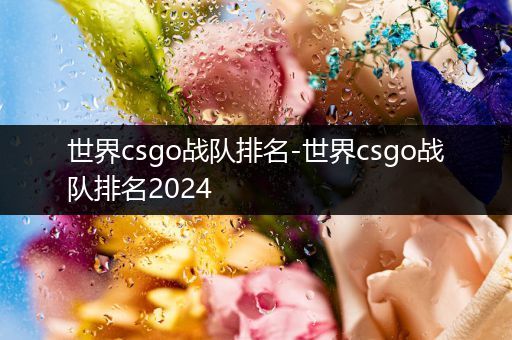 世界csgo战队排名-世界csgo战队排名2024