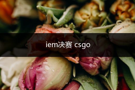 iem决赛 csgo