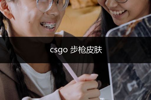 csgo 步枪皮肤