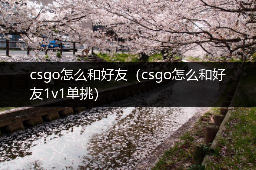 csgo怎么和好友（csgo怎么和好友1v1单挑）