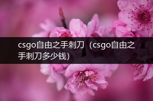 csgo自由之手刺刀（csgo自由之手刺刀多少钱）