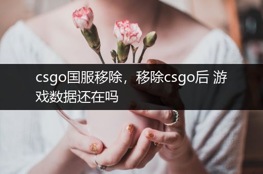 csgo国服移除，移除csgo后 游戏数据还在吗