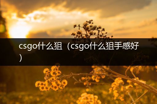 csgo什么狙（csgo什么狙手感好）