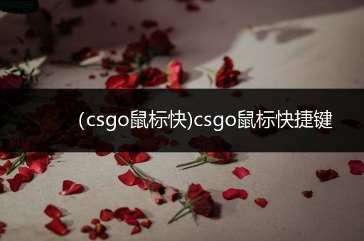 （csgo鼠标快)csgo鼠标快捷键