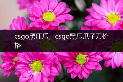 csgo黑压爪，csgo黑压爪子刀价格