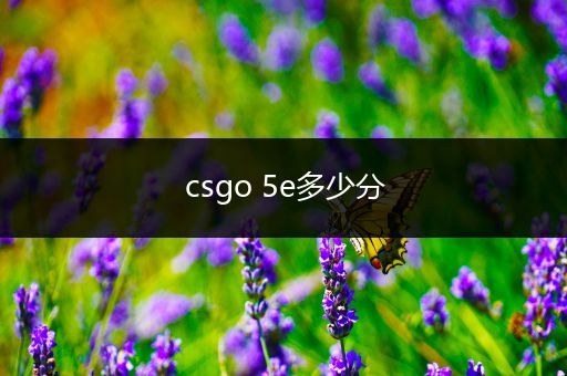 csgo 5e多少分