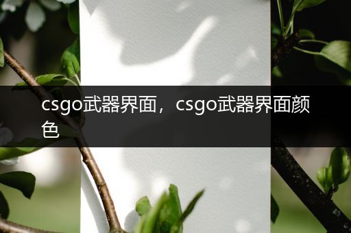 csgo武器界面，csgo武器界面颜色