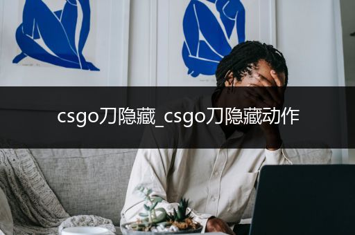 csgo刀隐藏_csgo刀隐藏动作