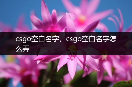 csgo空白名字，csgo空白名字怎么弄