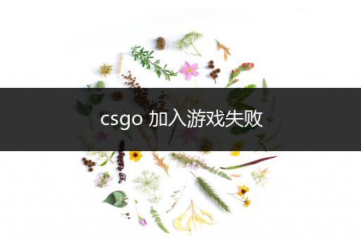 csgo 加入游戏失败