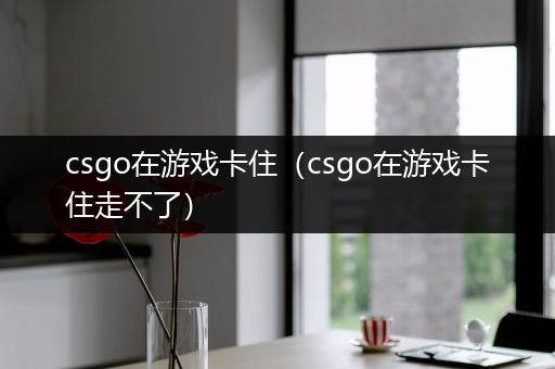 csgo在游戏卡住（csgo在游戏卡住走不了）