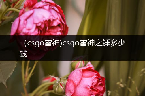 （csgo雷神)csgo雷神之锤多少钱