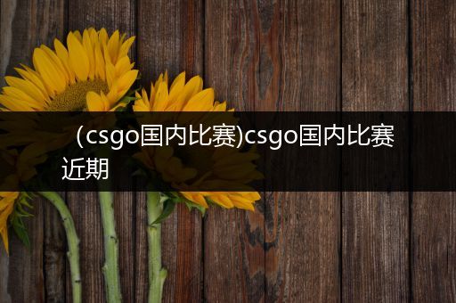 （csgo国内比赛)csgo国内比赛近期