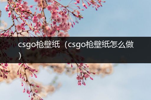 csgo枪壁纸（csgo枪壁纸怎么做）