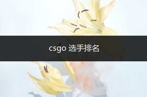 csgo 选手排名