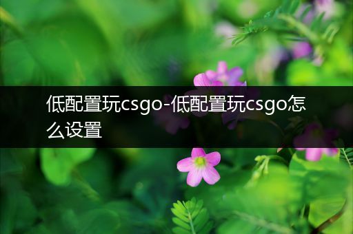 低配置玩csgo-低配置玩csgo怎么设置