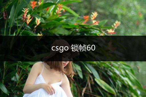 csgo 锁帧60