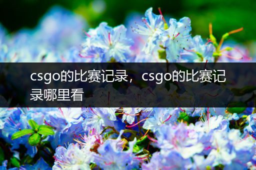 csgo的比赛记录，csgo的比赛记录哪里看