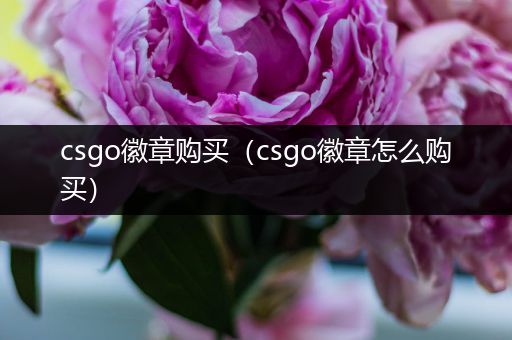 csgo徽章购买（csgo徽章怎么购买）